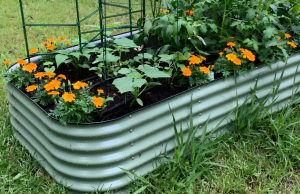 Raised Beds For Sale